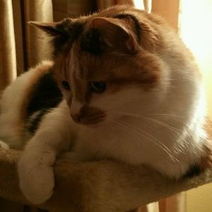 Meet your Posher, Patty